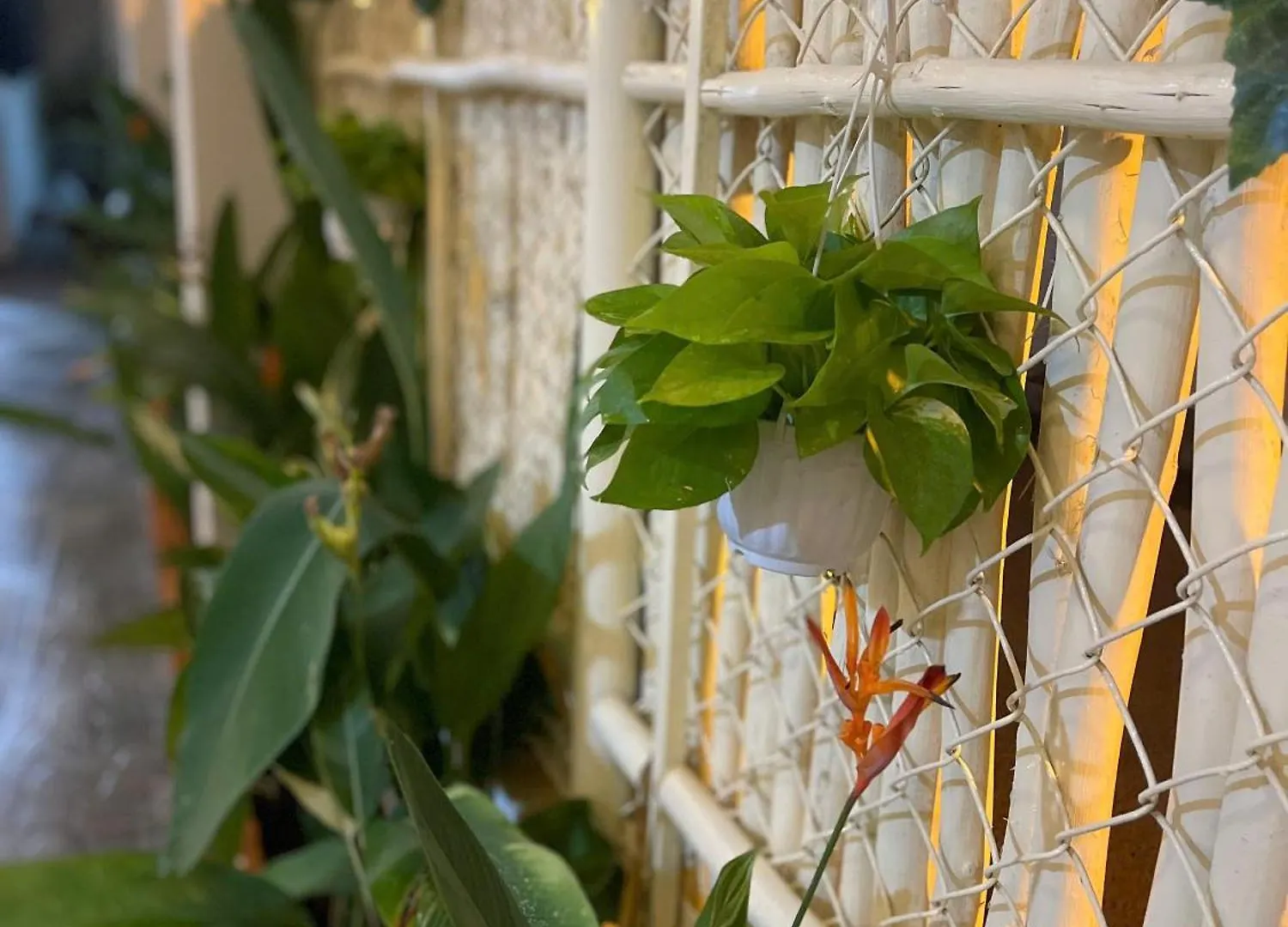 Little Nest Home Phan Thiet - To Am Nho アパート