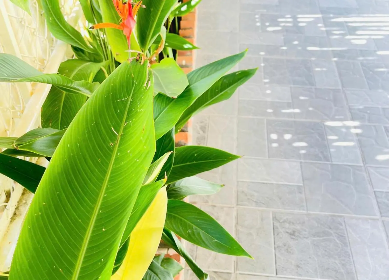 Little Nest Home Phan Thiet - To Am Nho アパート